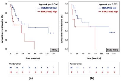 Kaplan Meier Km Curves For Overall Survival Os According To