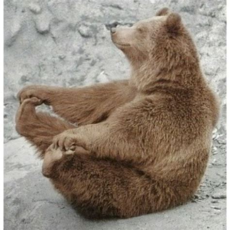 Bear Pose by Ali C. - Exercise How-to - Skimble