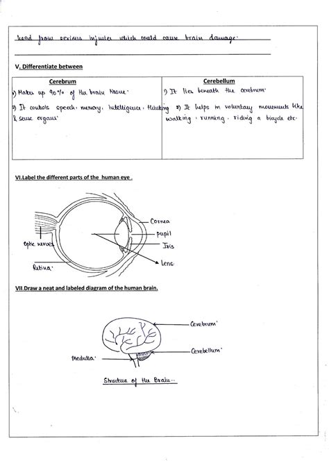 Grade 5 Science Worksheets Ontario