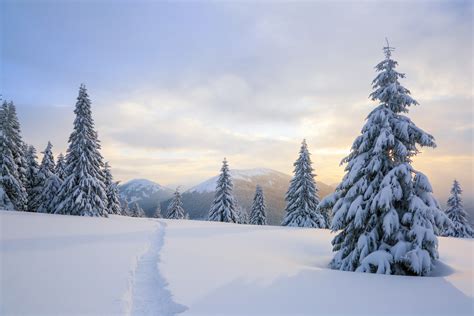 Leyendas y personajes mitológicos del invierno