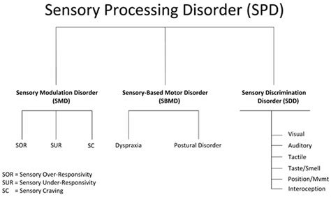 Sensory processing disorder causes, symptoms, diagnosis & treatment