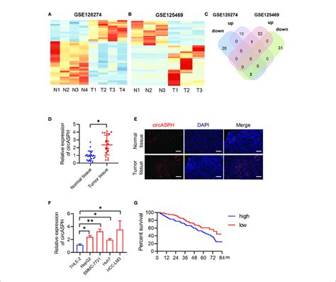 Circasph Expression Was Identified To Be Significantly Upregulated In