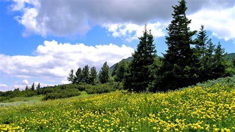 VITOSHA MOUNTAIN & CHERNI VRAH PEAK - Sofia Day Tours