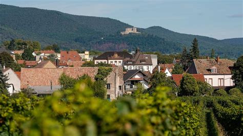 Arbeiten Zur Landesgartenschau In Neustadt Begonnen Welt