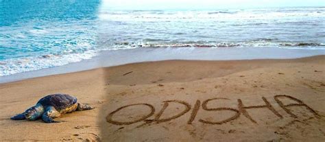 Beach Tours In Odisha Odisha Beach Tour Packages India Odisha Beach
