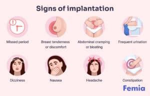 How Long After Sex Does Implantation Occur Understanding The Timeline