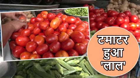 Tomato Price Hike कीमत बढ़ते ही Blinkit से गायब हुआ टमाटर जानें बाकी