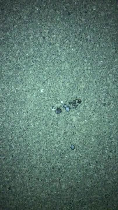 Ich Beim Wixxen Gay Outdoor Amateur Porn Xhamster