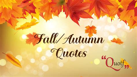 35+ Best Fall Quotes & Sayings About Autumn Season