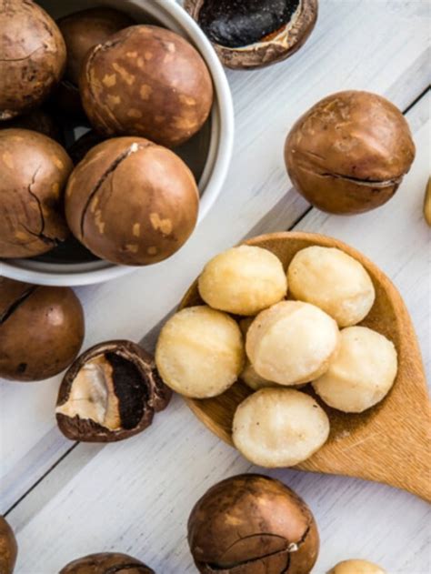 Incredible Health Benefits Of Macadamia Nuts