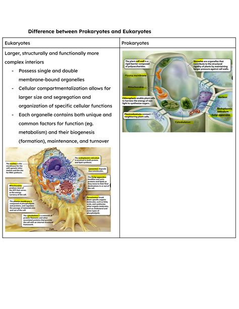 Solution Mcb Final Notes Studypool