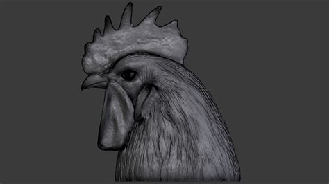 Rooster Head 3D Model 18 Blend Obj Free3D