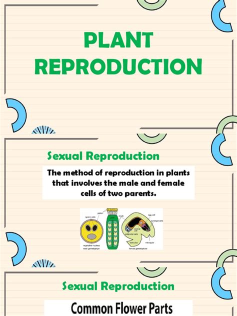 Gr4 Science Plant Reproduction Pdf Flowers Sexual Reproduction