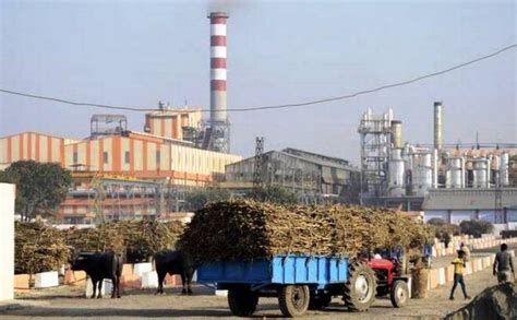 Indian Sugar Factory