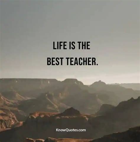 sayings  life lessons knowquotescom