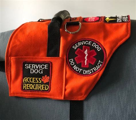 Deluxe Canvas Service Dog Vest. Includes 7 Patches Lined with | Etsy ...
