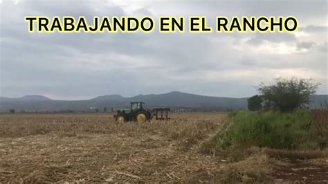 TRABAJO DEL RANCHO EN ISAAC ARRIAGA MICHOACAN YouTube