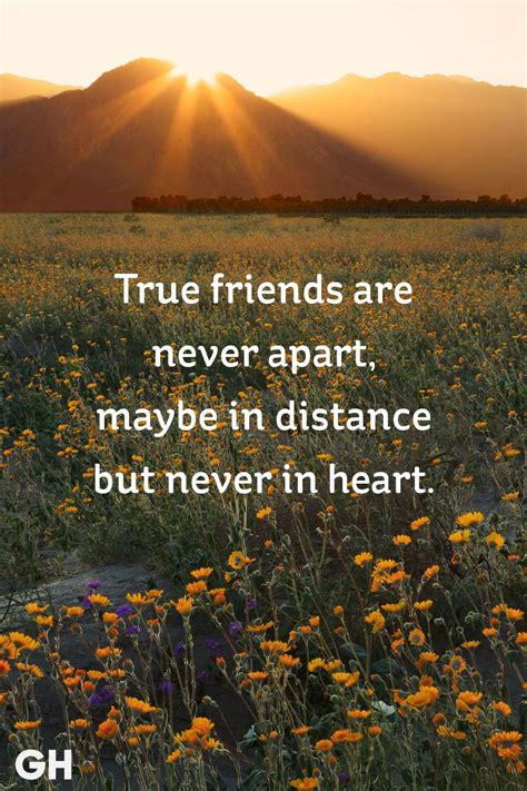 24 Adorable Best Friend Quotes for You and Your Bestie - Her Style Code