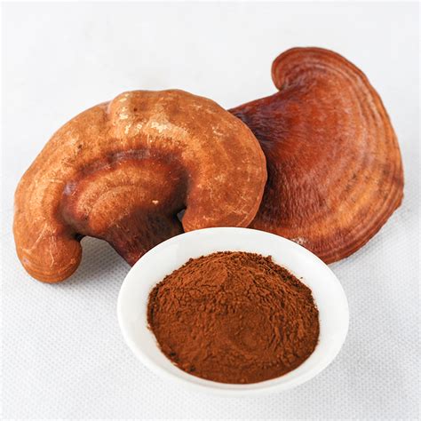 Red Reishi Mushroom Ganoderma Lucidum Shell Broken Spore Powder