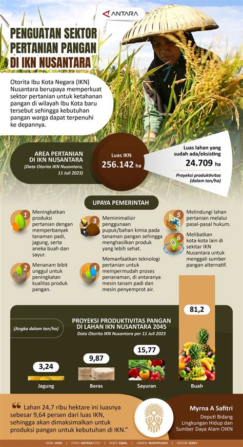 Penguatan Sektor Pertanian Pangan Di Ikn Nusantara Infografik Antara News