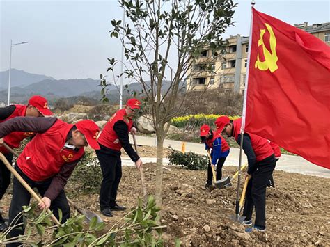 市监理公司组织开展学雷锋义务植树活动 公司动态 桐城市建设监理有限公司