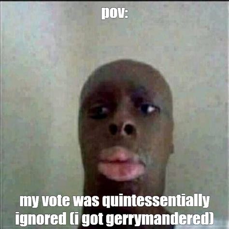 Meme Pov My Vote Was Quintessentially Ignored I Got Gerrymandered