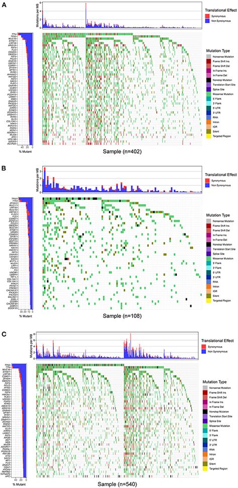 Frontiers Mutation Of MUC16 Is Associated With Tumor Mutational