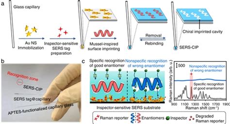 手性印迹表面增强拉曼散射检测技术获进展—论文—科学网