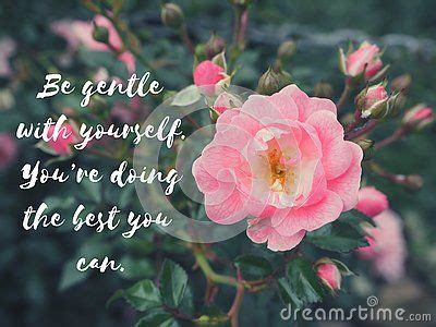 Inspiration Motivational Life Quotes on pink rose in pastel color ...