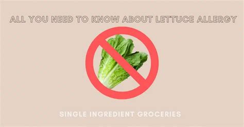 All You Need to Know About Lettuce Allergy