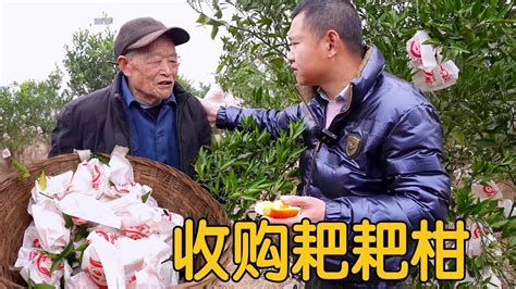 【农村四哥】4000斤耙耙柑无人问津，四哥全部收购，老人说了段啥话？让人感动 Youtube