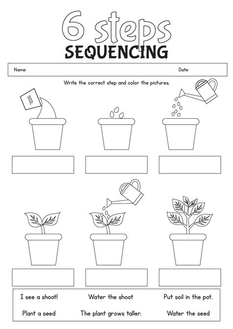 10 6 Step Sequencing Worksheets Free Pdf At