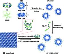 Hierarchical Protein Self Assembly Into Dynamically Controlled D