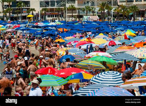 Crowded Beach Benidorm High Resolution Stock Photography And Images Alamy