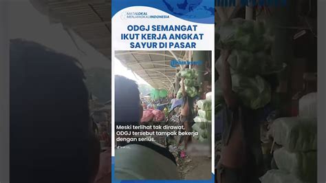 Viral Video Seorang Odgj Semangat Kerja Angkat Sayuran Bongkar Dari