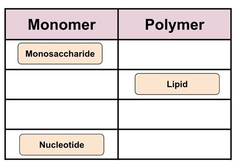 Matching Macromolecules Diagram Quizlet