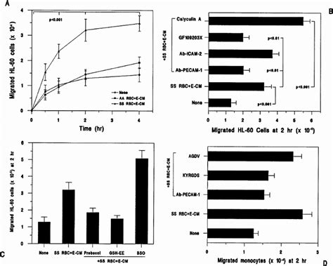 Migration Of Monocyte Like Hl Cells And Pbm Across Huvec Monolayer