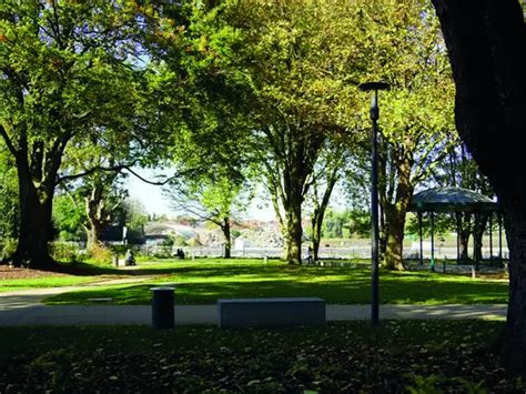 Observation Des Arbres Du Jardin Public Site De La Ville De Comines