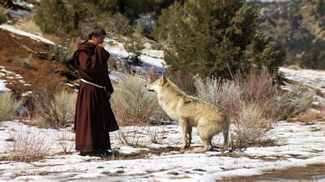 Saint Francis And The Wolf Ttw Institute For Franciscan Peacemaking