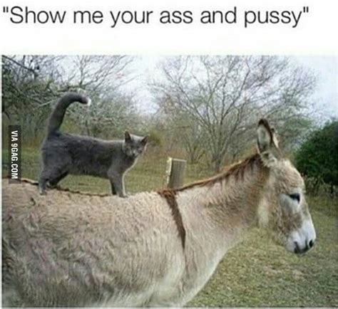 Show Me Your Ass And Pussy 9GAG