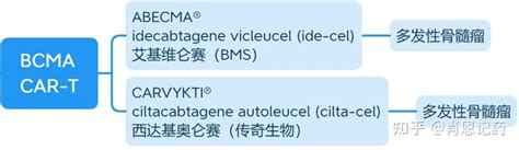 记住FDA生物药 2款BCMA CAR T idecabtagene vicleucel西达基奥仑赛 多发性骨髓瘤 知乎