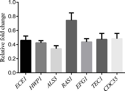 Changes In Biofilms Related Genes Of RAS1 CAMP EFG1 Pathway Expression