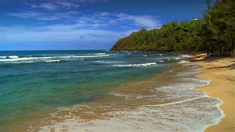 Hawaii Beach Wallpaper - WallpaperSafari