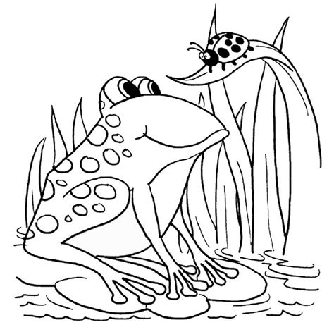 Cute Frog Coloring Sheets Activity