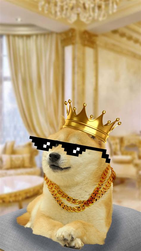 Download Doge With Crown Wallpaper | Wallpapers.com