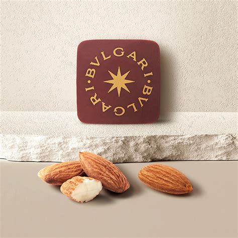 Bulgari Il Cioccolato 2025 Price Stores And Online Shopping Guide