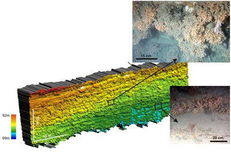 Developing 3D Habitat Maps Ocean Health Research IAtlantic