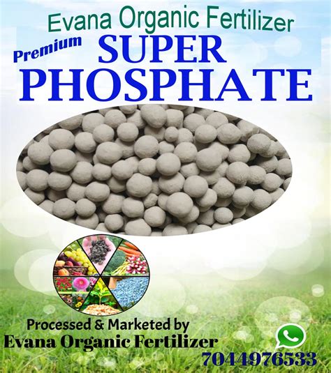 Evana Organic Fertilizer Premium Super Phosphate Organic Manure For