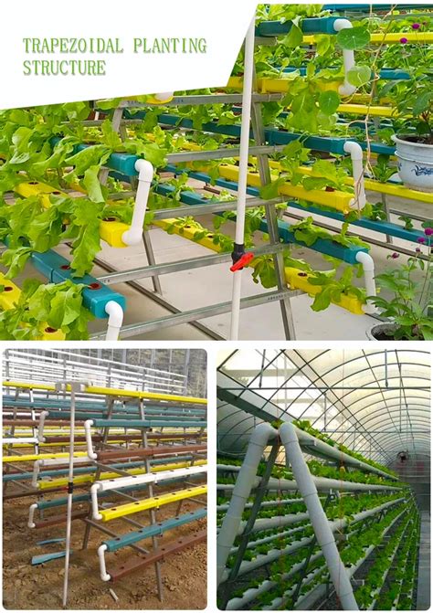 Lyine China Factory New Designed Super Farm Hydroponic Nft Growing