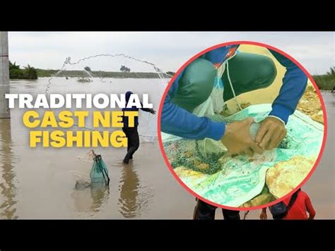 Famous Traditional Cast Net Fishing In River Cast Net EP116 YouTube